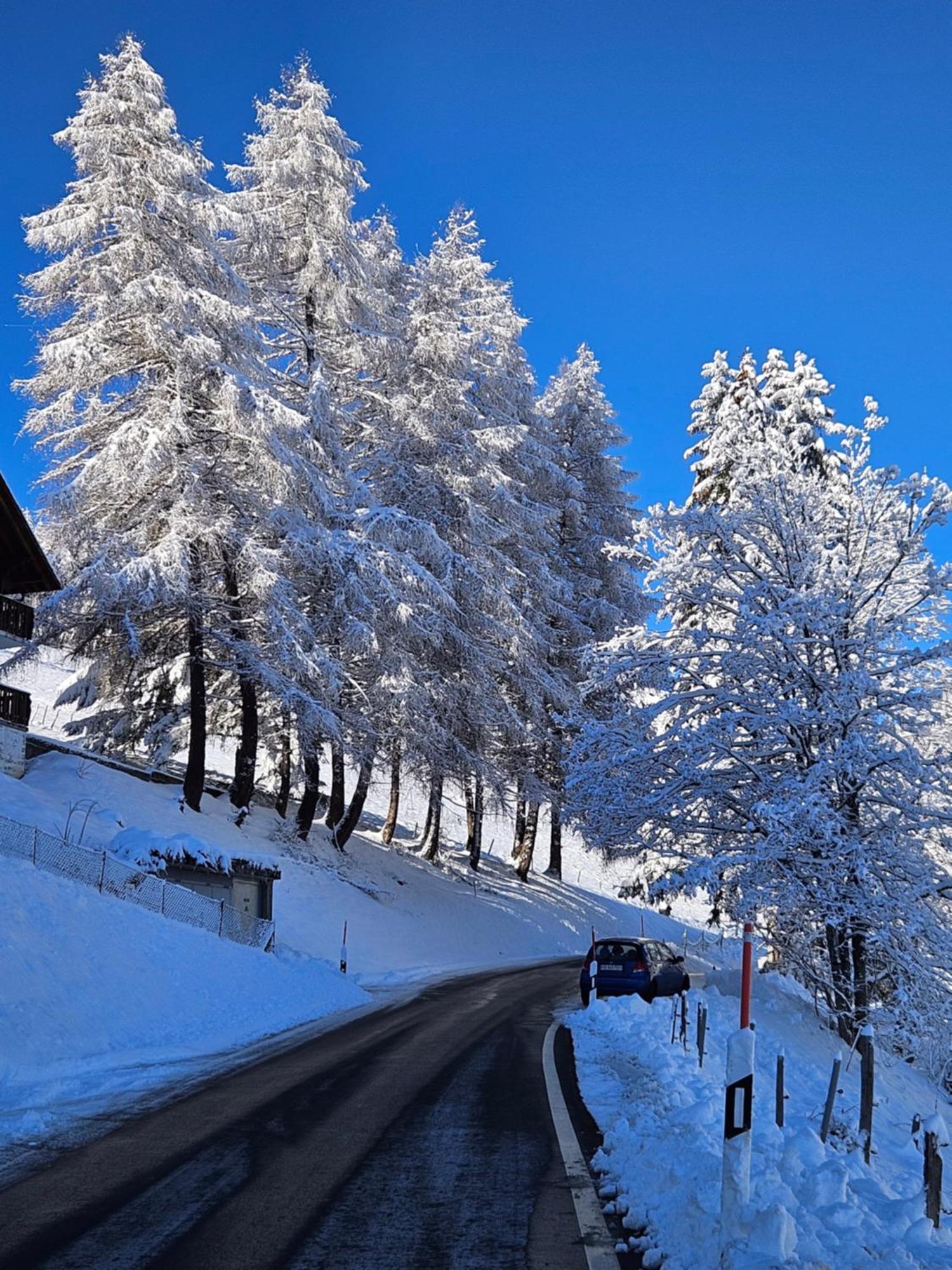Sweet & Cosy Chalet In The Heart Of The Swiss Alps Troistorrents Екстер'єр фото